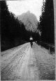 14. Between Toblach and Cortina